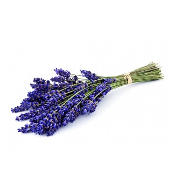 Saunageur Lavendel  500 ml