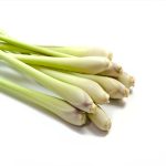 Saunageur Lemongrass