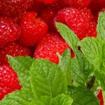 Saunageur Framboos-Munt