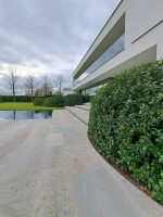 Zwembadrandsteen Duitse Kalksteen vrije lengtes x 2 cm  Berlin nr. 107 - Afbeelding 10