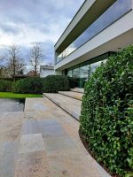 Zwembadrandsteen Duitse Kalksteen vrije lengtes x 2 cm  Berlin nr. 107 - Afbeelding 12